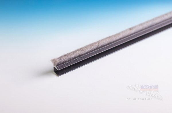 TERRAslide Bürstenprofil für 8mm Glasstärke